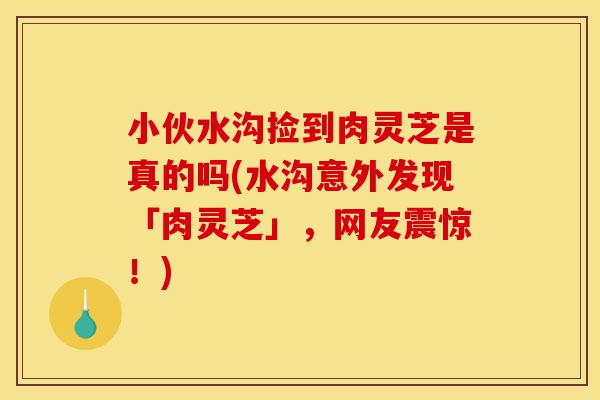 小伙水沟捡到肉灵芝是真的吗(水沟意外发现「肉灵芝」,网友震惊!)-第1张图片-灵芝之家 小伙水沟捡到肉灵芝是真的吗(水沟意外发现「肉灵芝」,网友震惊!)-第1张图片-灵芝之家