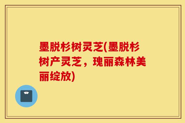 墨脱杉树灵芝(墨脱杉树产灵芝,瑰丽森林美丽绽放)-第1张图片-灵芝之家 墨脱杉树灵芝(墨脱杉树产灵芝,瑰丽森林美丽绽放)-第1张图片-灵芝之家