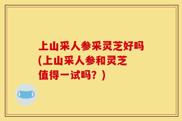 上山采人参采灵芝好吗(上山采人参和灵芝 值得一试吗?)-第1张图片-灵芝之家 上山采人参采灵芝好吗(上山采人参和灵芝 值得一试吗?)-第1张图片-灵芝之家