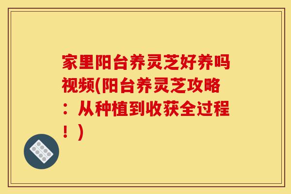 家里阳台养灵芝好养吗视频(阳台养灵芝攻略:从种植到收获全过程!)-第1张图片-灵芝之家 家里阳台养灵芝好养吗视频(阳台养灵芝攻略:从种植到收获全过程!)-第1张图片-灵芝之家
