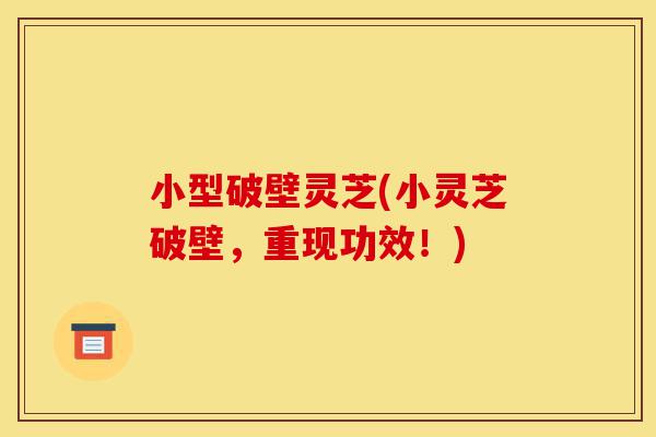 小型破壁灵芝(小灵芝破壁，重现功效！)-第1张图片-灵芝之家