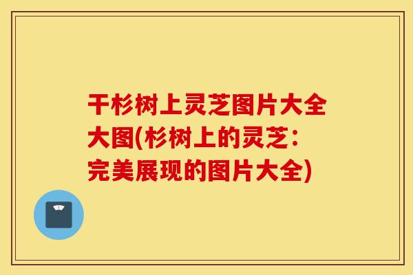 干杉树上灵芝图片大全大图(杉树上的灵芝:完美展现的图片大全)-第1张图片-灵芝之家 干杉树上灵芝图片大全大图(杉树上的灵芝:完美展现的图片大全)-第1张图片-灵芝之家