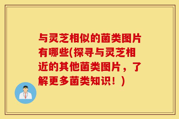 与灵芝相似的菌类图片有哪些(探寻与灵芝相近的其他菌类图片,了解更多菌类知识!)-第1张图片-灵芝之家 与灵芝相似的菌类图片有哪些(探寻与灵芝相近的其他菌类图片,了解更多菌类知识!)-第1张图片-灵芝之家