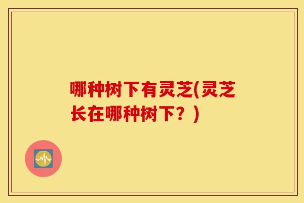 哪种树下有灵芝(灵芝长在哪种树下?)-第1张图片-灵芝之家 哪种树下有灵芝(灵芝长在哪种树下?)-第1张图片-灵芝之家