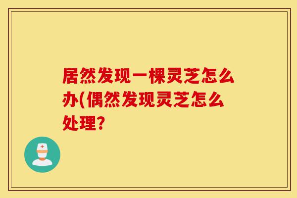 居然发现一棵灵芝怎么办(偶然发现灵芝怎么处理?-第1张图片-灵芝之家 居然发现一棵灵芝怎么办(偶然发现灵芝怎么处理?-第1张图片-灵芝之家