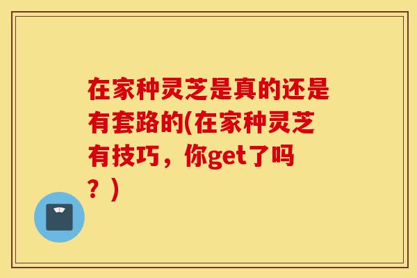 在家种灵芝是真的还是有套路的(在家种灵芝有技巧,你get了吗?)-第1张图片-灵芝之家 在家种灵芝是真的还是有套路的(在家种灵芝有技巧,你get了吗?)-第1张图片-灵芝之家
