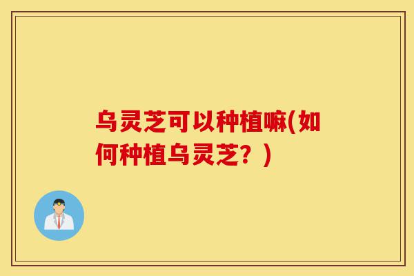 乌灵芝可以种植嘛(如何种植乌灵芝?)-第1张图片-灵芝之家 乌灵芝可以种植嘛(如何种植乌灵芝?)-第1张图片-灵芝之家