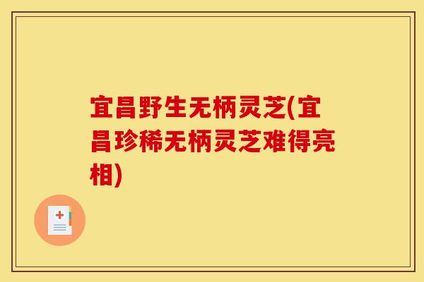 宜昌野生无柄灵芝(宜昌珍稀无柄灵芝难得亮相)-第1张图片-灵芝之家 宜昌野生无柄灵芝(宜昌珍稀无柄灵芝难得亮相)-第1张图片-灵芝之家
