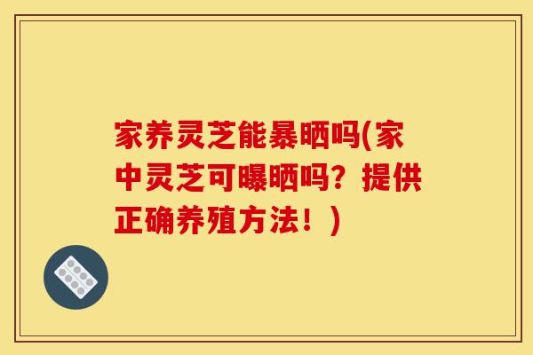 家养灵芝能暴晒吗(家中灵芝可曝晒吗？提供正确养殖方法！)-第1张图片-灵芝之家