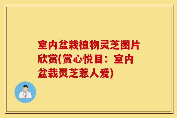 室内盆栽植物灵芝图片欣赏(赏心悦目：室内盆栽灵芝惹人爱)-第1张图片-灵芝之家