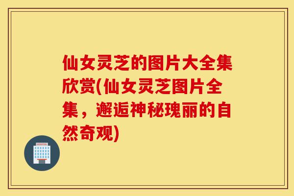 仙女灵芝的图片大全集欣赏(仙女灵芝图片全集,邂逅神秘瑰丽的自然奇观)-第1张图片-灵芝之家 仙女灵芝的图片大全集欣赏(仙女灵芝图片全集,邂逅神秘瑰丽的自然奇观)-第1张图片-灵芝之家