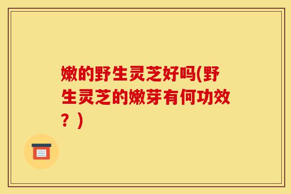 嫩的野生灵芝好吗(野生灵芝的嫩芽有何功效?)-第1张图片-灵芝之家 嫩的野生灵芝好吗(野生灵芝的嫩芽有何功效?)-第1张图片-灵芝之家