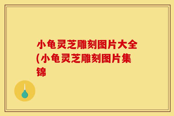 小龟灵芝雕刻图片大全(小龟灵芝雕刻图片集锦-第1张图片-灵芝之家