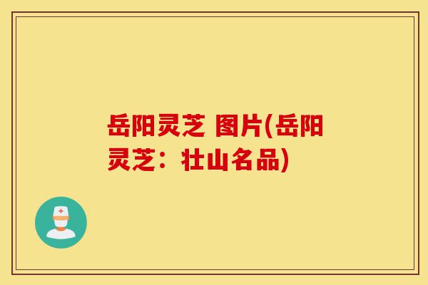 岳阳灵芝 图片(岳阳灵芝:壮山名品)-第1张图片-灵芝之家 岳阳灵芝 图片(岳阳灵芝:壮山名品)-第1张图片-灵芝之家