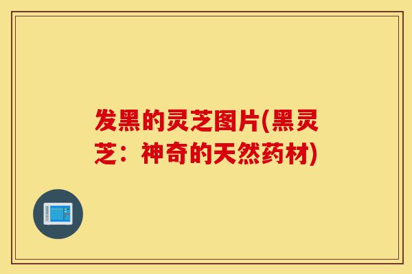 发黑的灵芝图片(黑灵芝:神奇的天然药材)-第1张图片-灵芝之家 发黑的灵芝图片(黑灵芝:神奇的天然药材)-第1张图片-灵芝之家