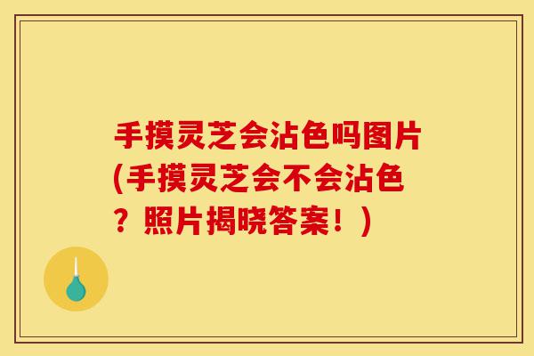 手摸灵芝会沾色吗图片(手摸灵芝会不会沾色？照片揭晓答案！)-第1张图片-灵芝之家