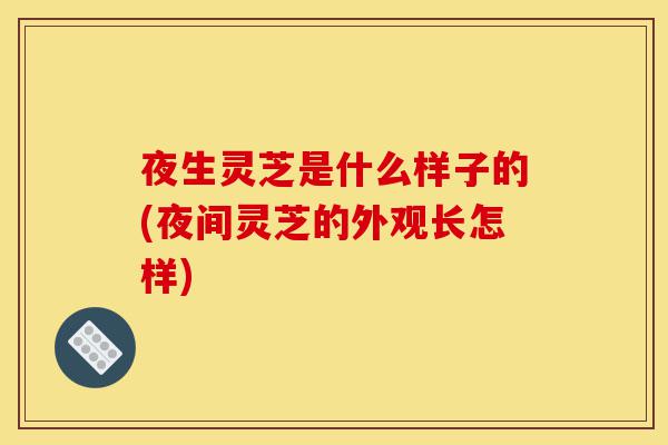 夜生灵芝是什么样子的(夜间灵芝的外观长怎样)-第1张图片-灵芝之家 夜生灵芝是什么样子的(夜间灵芝的外观长怎样)-第1张图片-灵芝之家