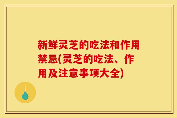 新鲜灵芝的吃法和作用禁忌(灵芝的吃法、作用及注意事项大全)-第1张图片-灵芝之家 新鲜灵芝的吃法和作用禁忌(灵芝的吃法、作用及注意事项大全)-第1张图片-灵芝之家