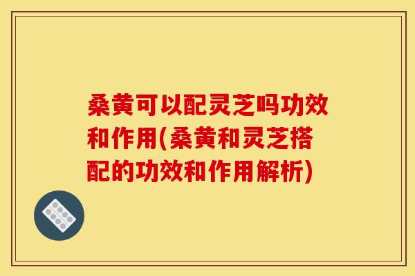 桑黄可以配灵芝吗功效和作用(桑黄和灵芝搭配的功效和作用解析)-第1张图片-灵芝之家 桑黄可以配灵芝吗功效和作用(桑黄和灵芝搭配的功效和作用解析)-第1张图片-灵芝之家