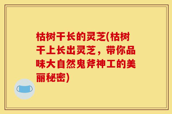 枯树干长的灵芝(枯树干上长出灵芝，带你品味大自然鬼斧神工的美丽秘密)-第1张图片-灵芝之家