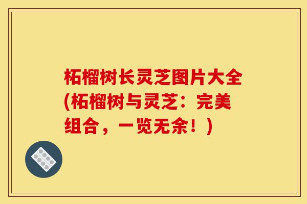 柘榴树长灵芝图片大全(柘榴树与灵芝:完美组合,一览无余!)-第1张图片-灵芝之家 柘榴树长灵芝图片大全(柘榴树与灵芝:完美组合,一览无余!)-第1张图片-灵芝之家