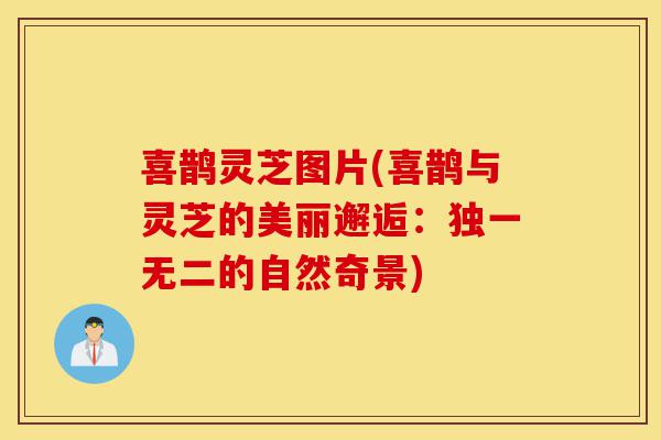 喜鹊灵芝图片(喜鹊与灵芝的美丽邂逅：独一无二的自然奇景)-第1张图片-灵芝之家