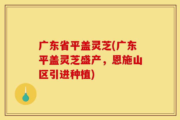 广东省平盖灵芝(广东平盖灵芝盛产,恩施山区引进种植)-第1张图片-灵芝之家 广东省平盖灵芝(广东平盖灵芝盛产,恩施山区引进种植)-第1张图片-灵芝之家