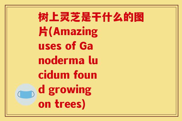 树上灵芝是干什么的图片(Amazing uses of Ganoderma lucidum found growing on trees)-第1张图片-灵芝之家 树上灵芝是干什么的图片(Amazing uses of Ganoderma lucidum found growing on trees)-第1张图片-灵芝之家
