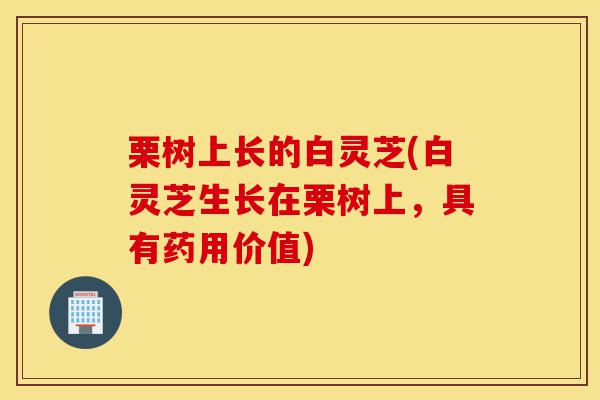 栗树上长的白灵芝(白灵芝生长在栗树上，具有药用价值)-第1张图片-灵芝之家