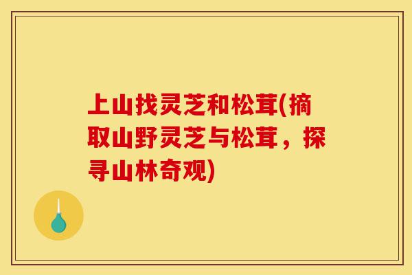 上山找灵芝和松茸(摘取山野灵芝与松茸,探寻山林奇观)-第1张图片-灵芝之家 上山找灵芝和松茸(摘取山野灵芝与松茸,探寻山林奇观)-第1张图片-灵芝之家