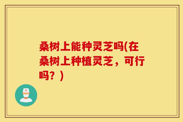 桑树上能种灵芝吗(在桑树上种植灵芝，可行吗？)-第1张图片-灵芝之家