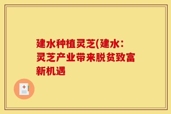 建水种植灵芝(建水:灵芝产业带来脱贫致富新机遇-第1张图片-灵芝之家 建水种植灵芝(建水:灵芝产业带来脱贫致富新机遇-第1张图片-灵芝之家