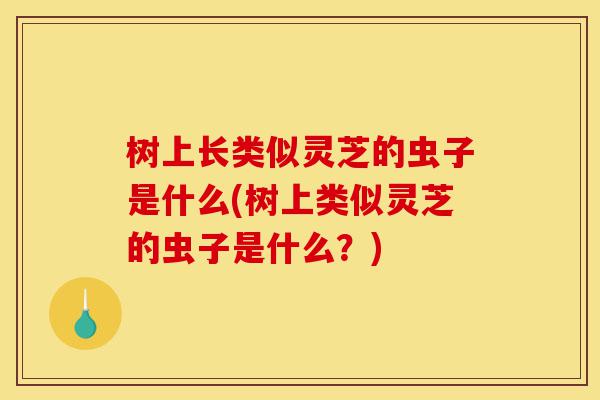 树上长类似灵芝的虫子是什么(树上类似灵芝的虫子是什么?)-第1张图片-灵芝之家 树上长类似灵芝的虫子是什么(树上类似灵芝的虫子是什么?)-第1张图片-灵芝之家