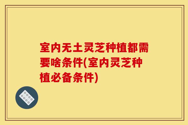 室内无土灵芝种植都需要啥条件(室内灵芝种植必备条件)-第1张图片-灵芝之家 室内无土灵芝种植都需要啥条件(室内灵芝种植必备条件)-第1张图片-灵芝之家