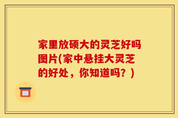 家里放硕大的灵芝好吗图片(家中悬挂大灵芝的好处,你知道吗?)-第1张图片-灵芝之家 家里放硕大的灵芝好吗图片(家中悬挂大灵芝的好处,你知道吗?)-第1张图片-灵芝之家
