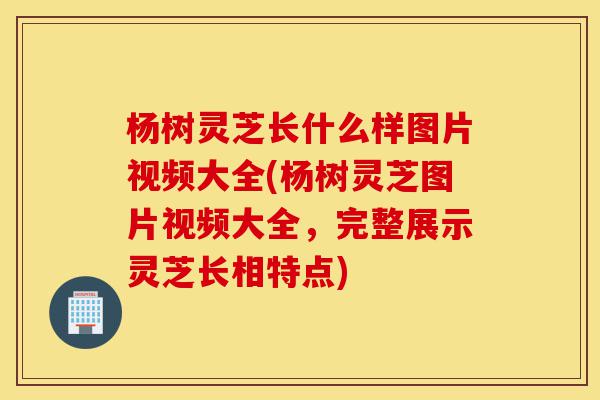 杨树灵芝长什么样图片视频大全(杨树灵芝图片视频大全，完整展示灵芝长相特点)-第1张图片-灵芝之家