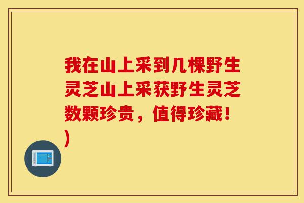 我在山上采到几棵野生灵芝山上采获野生灵芝数颗珍贵，值得珍藏！)-第1张图片-灵芝之家
