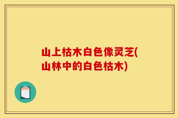 山上枯木白色像灵芝(山林中的白色枯木)-第1张图片-灵芝之家