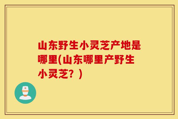 山东野生小灵芝产地是哪里(山东哪里产野生小灵芝?)-第1张图片-灵芝之家 山东野生小灵芝产地是哪里(山东哪里产野生小灵芝?)-第1张图片-灵芝之家