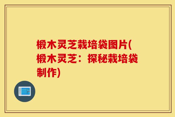 椴木灵芝栽培袋图片(椴木灵芝:探秘栽培袋制作)-第1张图片-灵芝之家 椴木灵芝栽培袋图片(椴木灵芝:探秘栽培袋制作)-第1张图片-灵芝之家