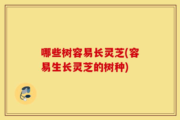 哪些树容易长灵芝(容易生长灵芝的树种)-第1张图片-灵芝之家