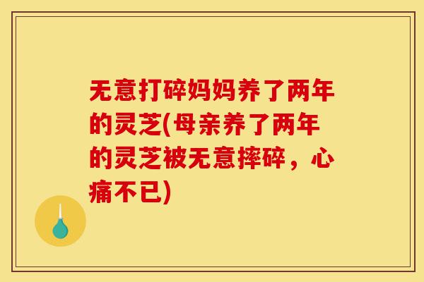 无意打碎妈妈养了两年的灵芝(母亲养了两年的灵芝被无意摔碎，心痛不已)-第1张图片-灵芝之家