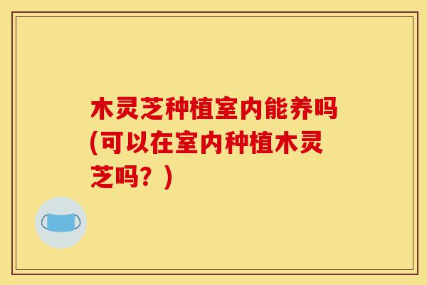 木灵芝种植室内能养吗(可以在室内种植木灵芝吗?)-第1张图片-灵芝之家 木灵芝种植室内能养吗(可以在室内种植木灵芝吗?)-第1张图片-灵芝之家