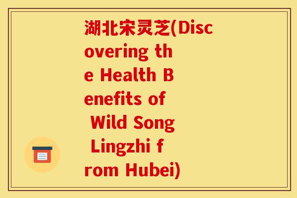 湖北宋灵芝(Discovering the Health Benefits of Wild Song Lingzhi from Hubei)-第1张图片-灵芝之家 湖北宋灵芝(Discovering the Health Benefits of Wild Song Lingzhi from Hubei)-第1张图片-灵芝之家