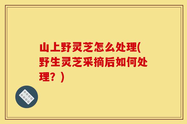 山上野灵芝怎么处理(野生灵芝采摘后如何处理?)-第1张图片-灵芝之家 山上野灵芝怎么处理(野生灵芝采摘后如何处理?)-第1张图片-灵芝之家