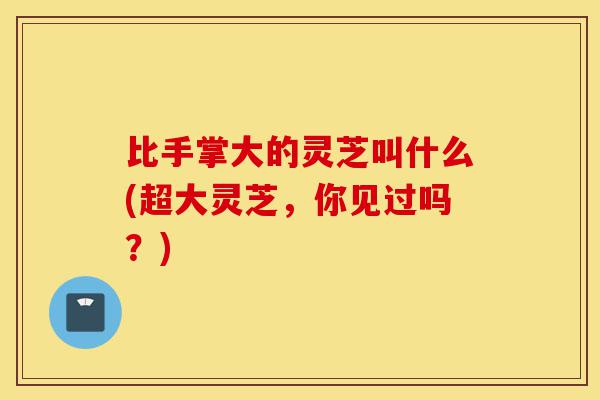 比手掌大的灵芝叫什么(超大灵芝,你见过吗?)-第1张图片-灵芝之家 比手掌大的灵芝叫什么(超大灵芝,你见过吗?)-第1张图片-灵芝之家