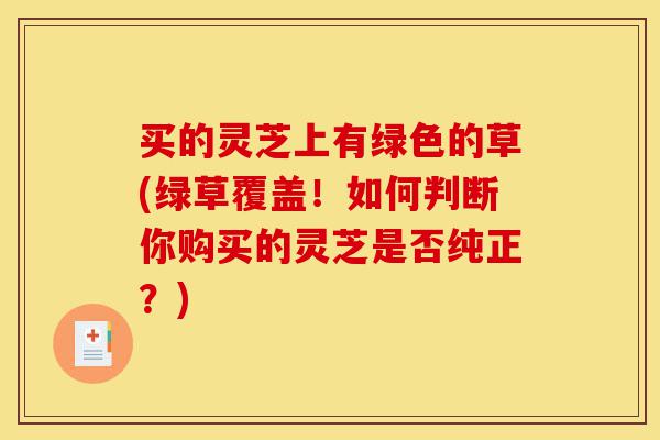 买的灵芝上有绿色的草(绿草覆盖!如何判断你购买的灵芝是否纯正?)-第1张图片-灵芝之家 买的灵芝上有绿色的草(绿草覆盖!如何判断你购买的灵芝是否纯正?)-第1张图片-灵芝之家