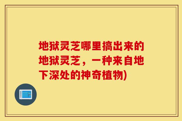 地狱灵芝哪里搞出来的地狱灵芝,一种来自地下深处的神奇植物)-第1张图片-灵芝之家 地狱灵芝哪里搞出来的地狱灵芝,一种来自地下深处的神奇植物)-第1张图片-灵芝之家