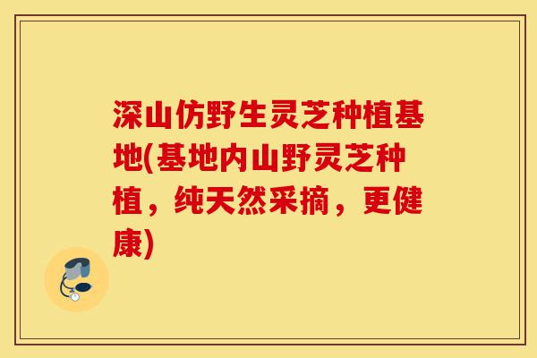深山仿野生灵芝种植基地(基地内山野灵芝种植,纯天然采摘,更健康)-第1张图片-灵芝之家 深山仿野生灵芝种植基地(基地内山野灵芝种植,纯天然采摘,更健康)-第1张图片-灵芝之家