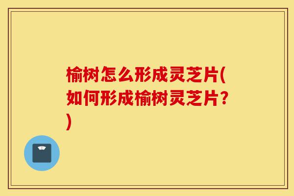 榆树怎么形成灵芝片(如何形成榆树灵芝片?)-第1张图片-灵芝之家 榆树怎么形成灵芝片(如何形成榆树灵芝片?)-第1张图片-灵芝之家